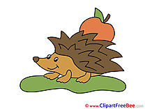 Hedgehog free Cliparts for download