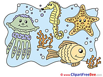 Marine Animals Clipart free Illustrations