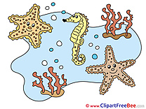 Marine Animals free printable Cliparts and Images