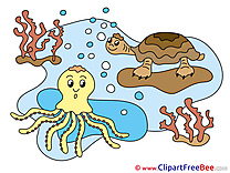 Ocean Octopus download Clip Art for free