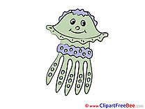 Octopus free Cliparts for download