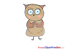 Owl Pics free Illustration