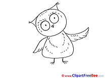 Owl printable Images for download