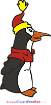 Penguin Cliparts printable for free
