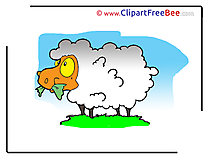 Pics Sheep free download Image