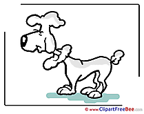 Poodle Clipart free Illustrations