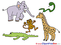 Safari Elephant download Clip Art for free