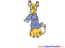 Scarf Giraffe free Illustration download