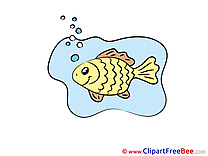 Sea Fish Pics free Illustration
