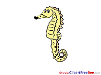 Seahorse printable Images for download