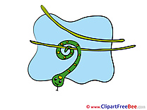 Snake Images download free Cliparts