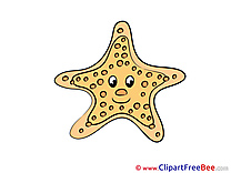 Starfish Clipart free Image download