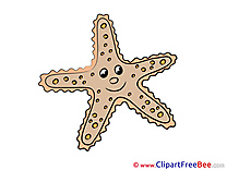 Starfish Cliparts printable for free