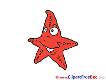 Starfish download printable Illustrations