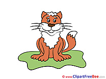 Tiger free Illustration download