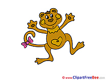 Toad Clipart free Image download